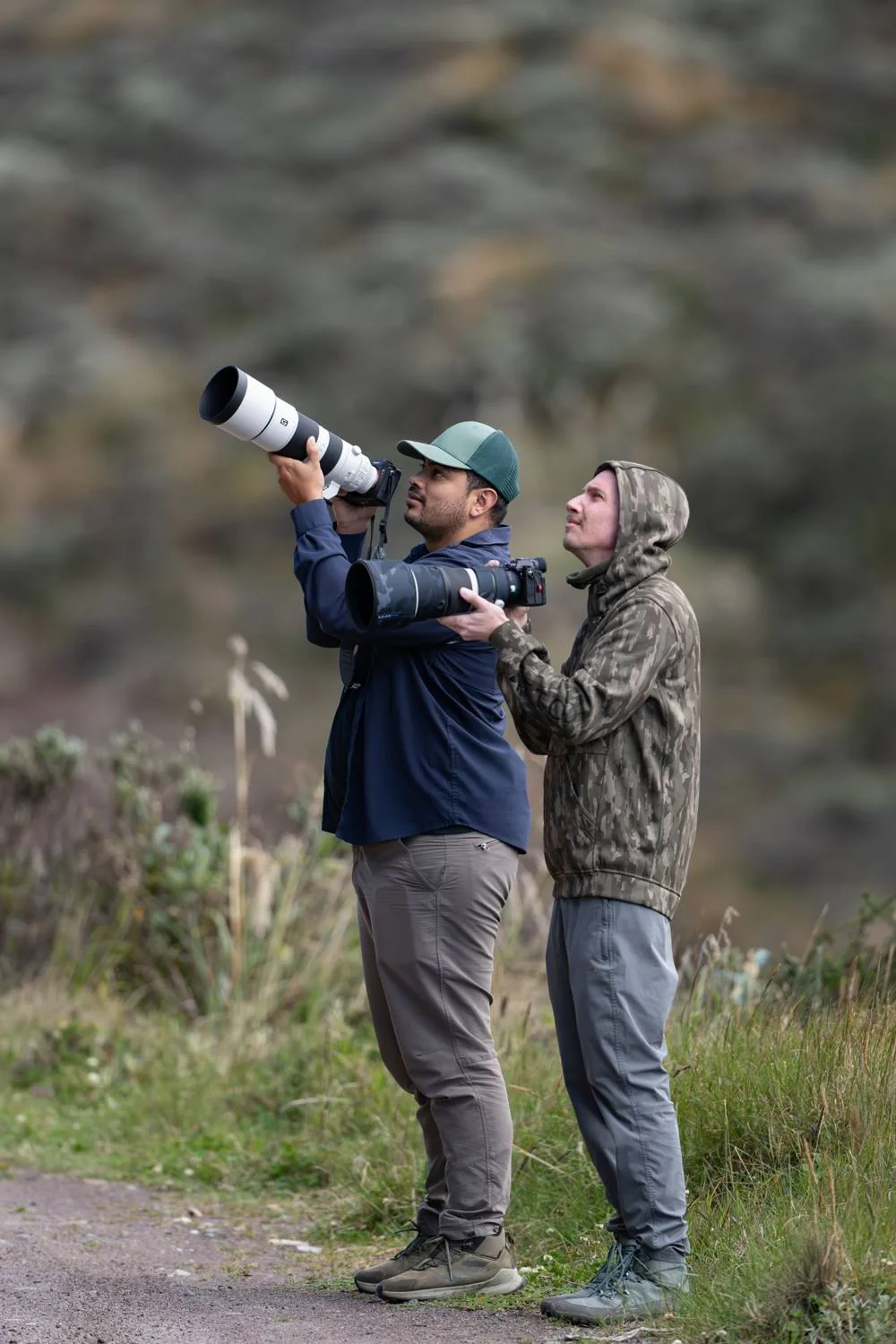 In the field